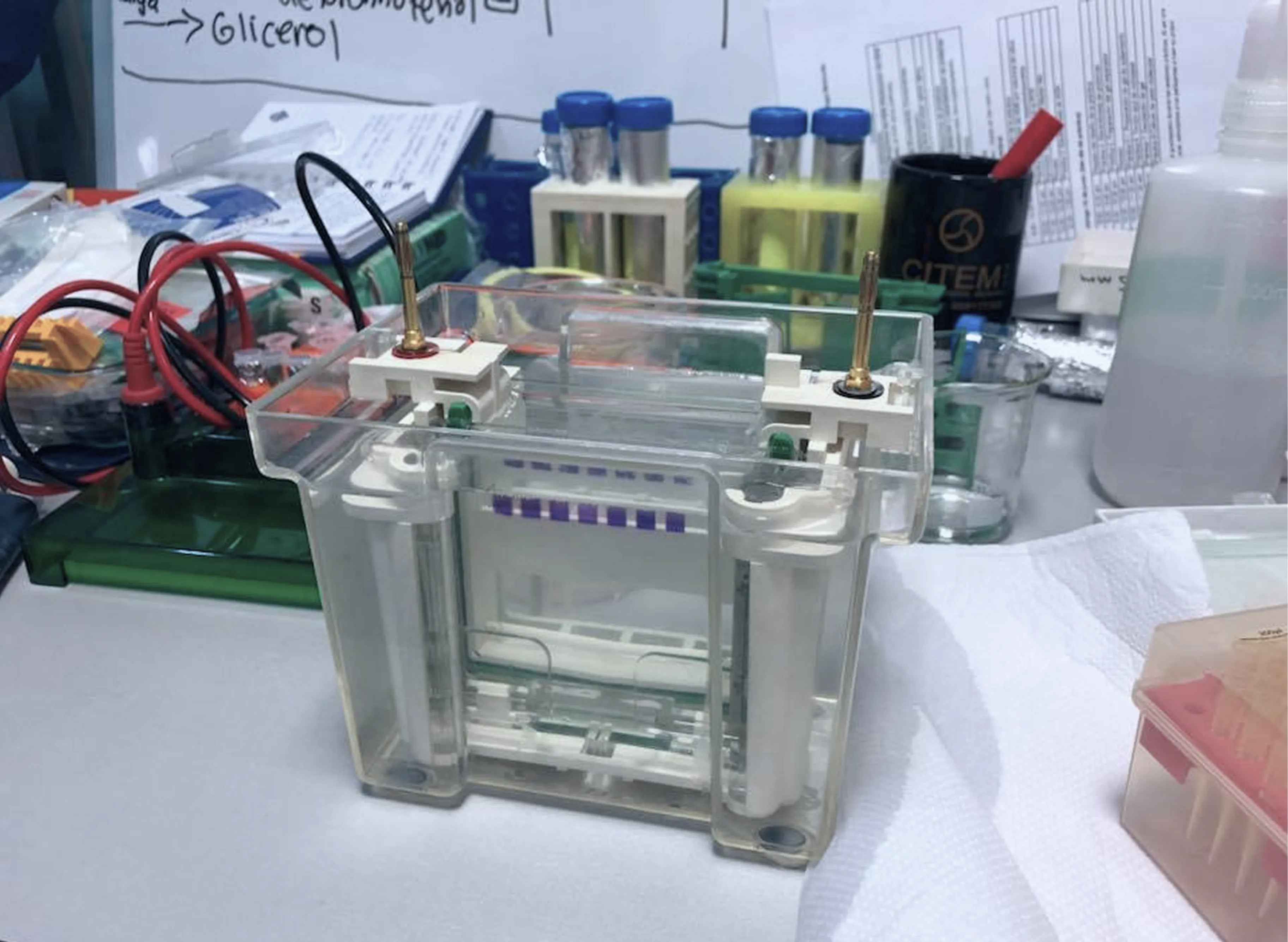 Profesionales en biotecnología 5