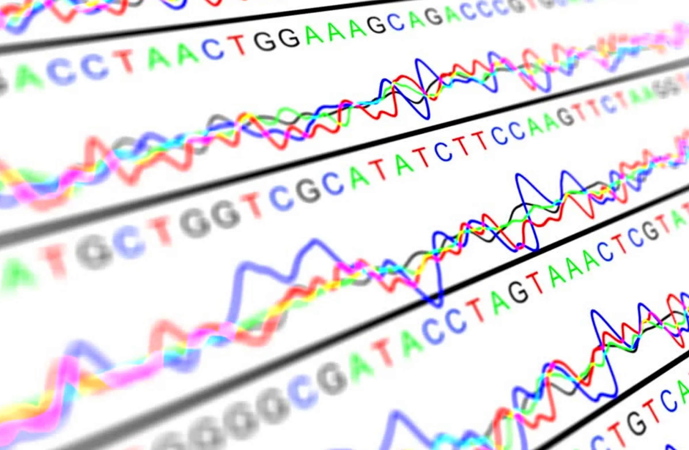 Diseño y optimización de primers para la PCR